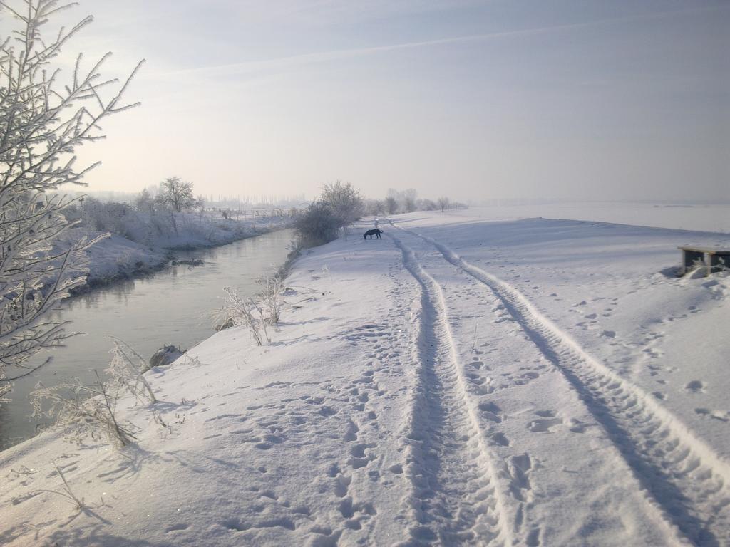 Fewo-Thueringer-Becken Vehra Kültér fotó